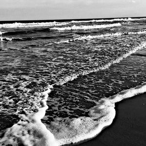 Meet your Posher, Isabelle